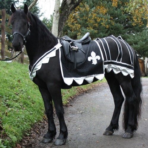 Image result for horse and rider halloween costumes knight