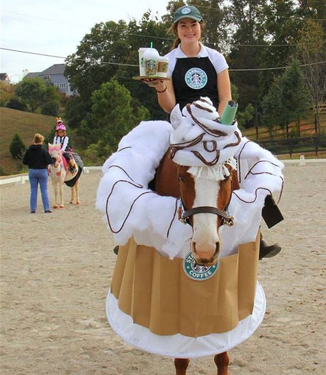Hahahahah horse costumes!