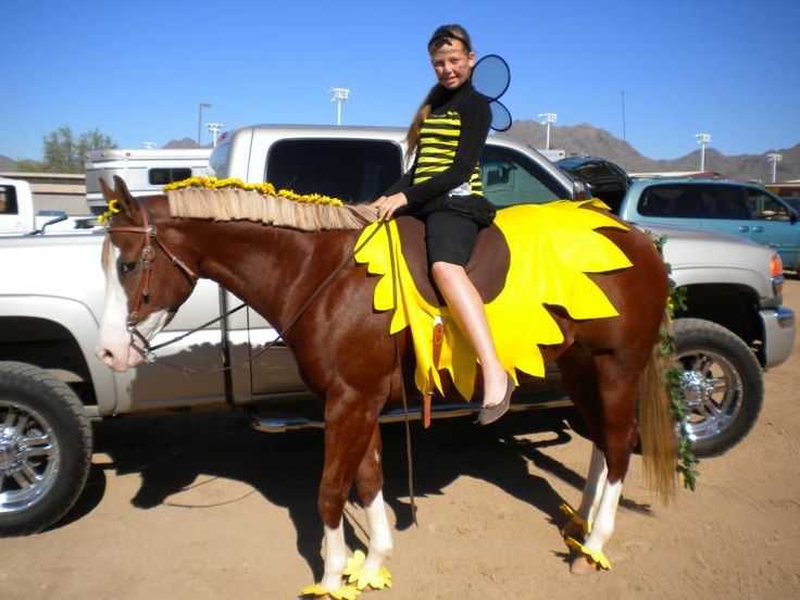 Horse bee and flower costume