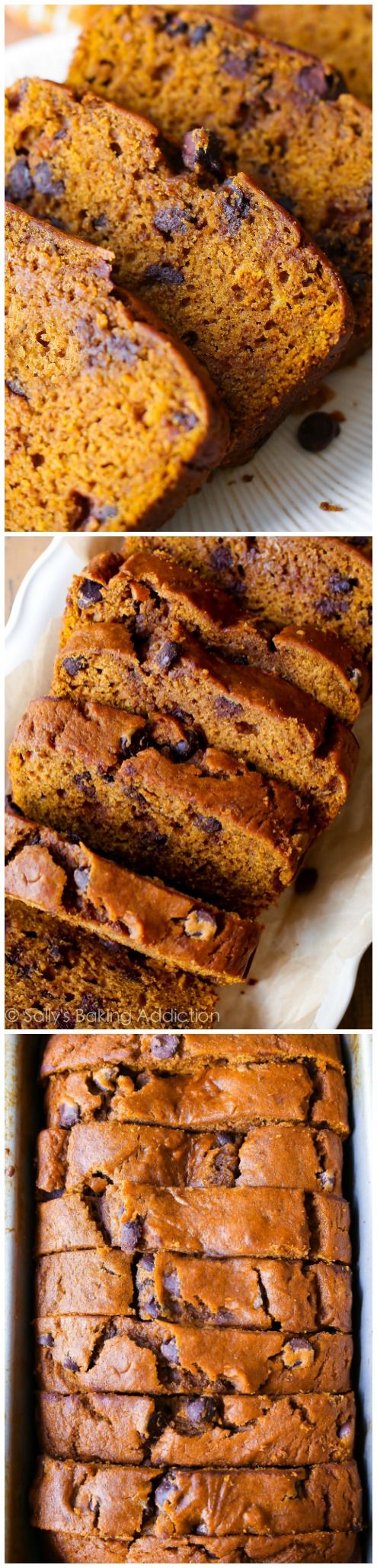 This recipe makes one heck of a super-moist pumpkin bread! This fall favorite is packed with sweet cinnamon spice, chocolate chips, and tons of pumpkin flavor. #cookies #fall #fallbaking #bakingforfall #thanksgiving #thanksgivingfood #cooking #recipes #dinnerideas www.gmichaelsalon.com