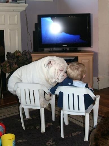 I like to be near my human. - Imgur #bulldog #english my dog would do | http://amazingcookingtips4614.blogspot.com