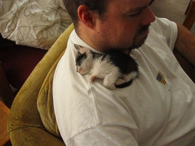VISIT NOW! FACEBOOK: https://www.facebook.com/KittensLoveForever/ YOUTUBE CHANNEL: https://www.youtube.com/user/TheFederic777 BLOG: http://look-how-cute-kittens-2.blogspot.com/ BLOG: http://make-dogs-be-happy.blogspot.com/    #Cats #Kittens #Gatos #Gatitos #Pet #mascotas