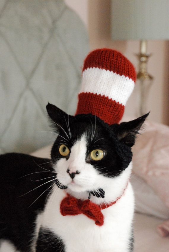 Hey!  It's The Cat in the Hat!      funny