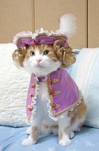 Victorian Prince Cat- Why am I laughing so hard at this.