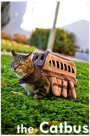 My Cat is a Bus, #totoro #catbus #cosplay