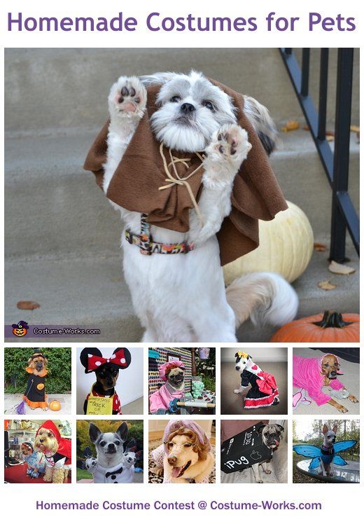 Homemade Costumes for Pets - a huge gallery of DIY Halloween costumes!  I want an ewok dog!