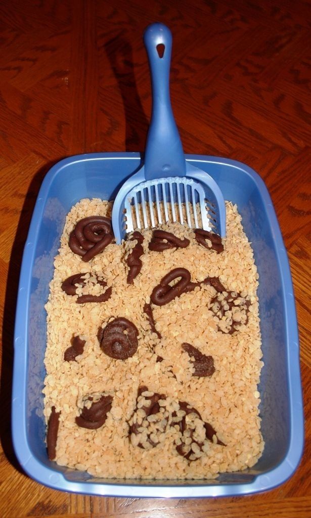 Cat poop fudge in kitty litter tray with rice bubbles. Awesome Halloween treat.