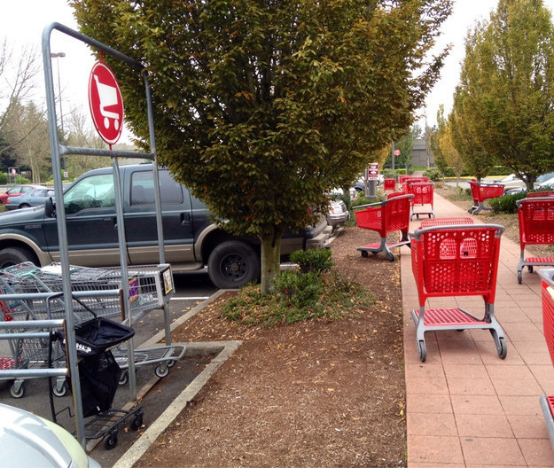 The extra 5 feet to the cart container was too much for all these people